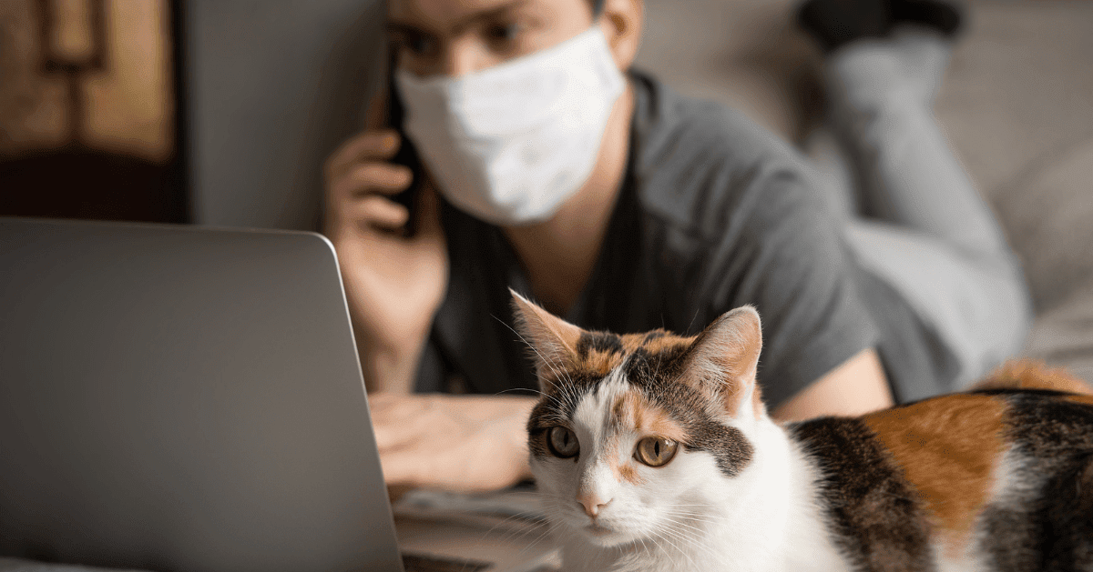 How COVID 19 Lockdown Affected Our Cats